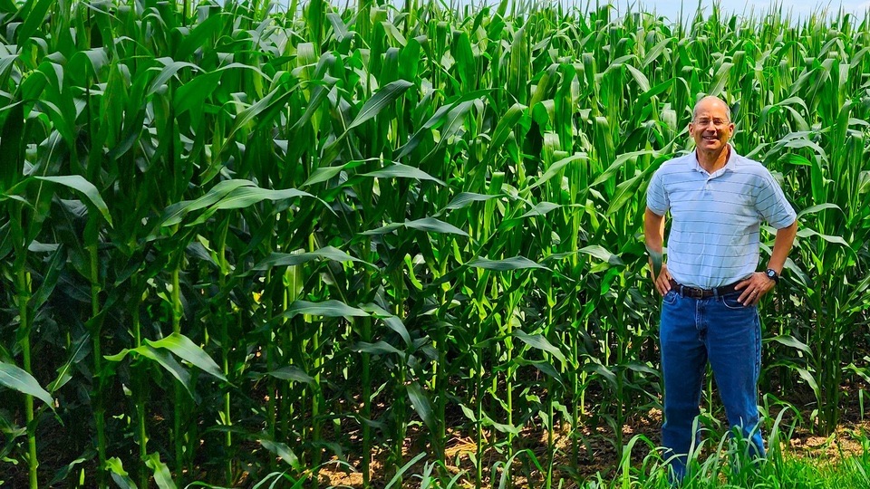 Dr. Katz standing at the edge of a tall Delaware cornfield